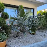 Apartment S *