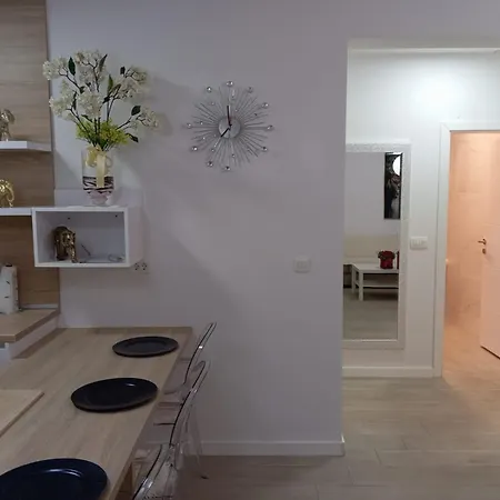 Apartment S Vir